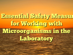 10 Essential Safety Measures for Working with Microorganisms in the Laboratory