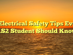 10 Electrical Safety Tips Every KS2 Student Should Know